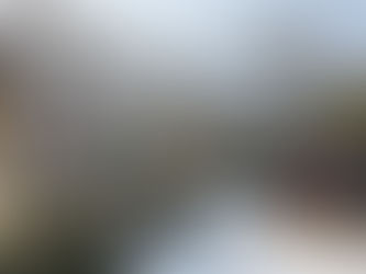 Bye-Bye USA - Welcome Europe