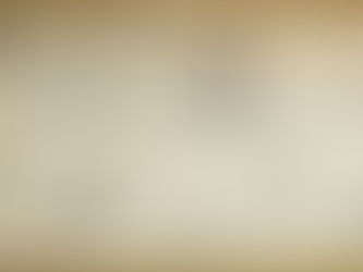 Artigianale o Industriale ?