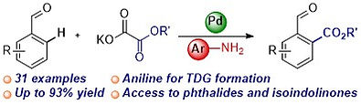 OrgLett2023alkoxycarbonylation.jpg