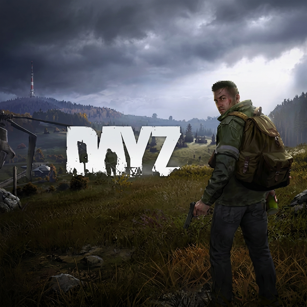 DayZ cheat card artwork