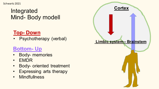 Integrated Mind - body model. Image by Svante Bäck.
