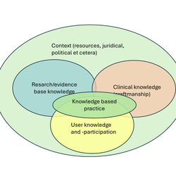 The undeniable link between politics and clinical practice. The Norwegian story of medication free treatment units for psychoses