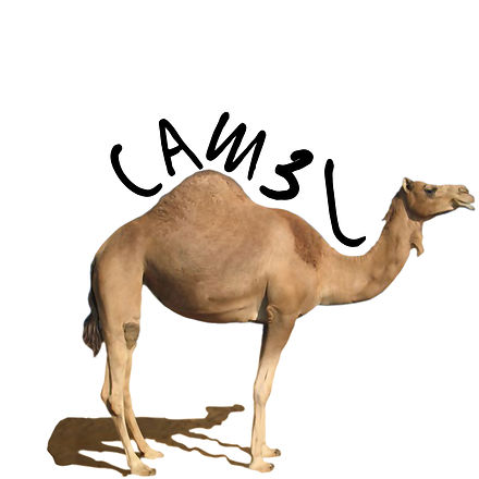 Cam3l logo