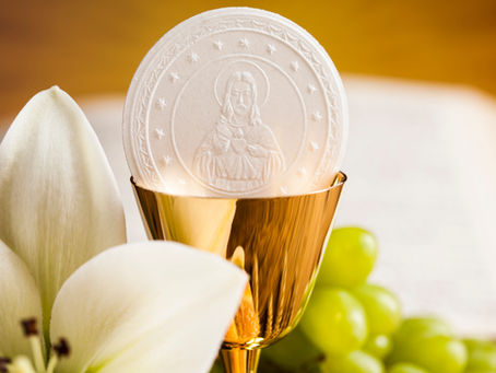 Pour la vie du monde