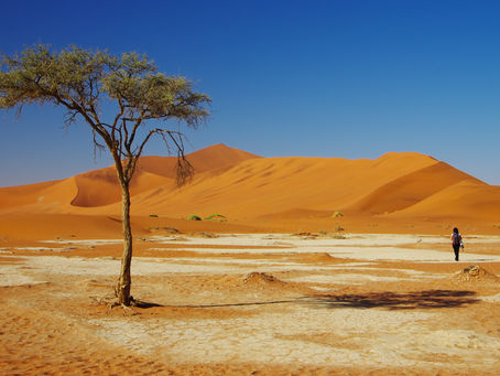 La tentation de l’oubli