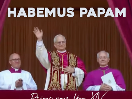 Habemus Papam ! Habemus Pastorem !