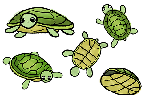 tortle.png