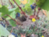 2000_59f982c2053b1.jpg
