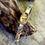 Thumbnail: Rutilated Quartz Cuff