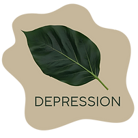 Yellow Canopy Counseling (39).png