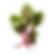 Mein Projekt.png