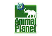 Hire a Nature Documentry Camera Crew in Miami, Fort Lauderdale, Palm beach