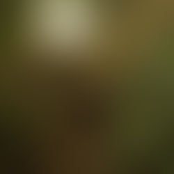 The Why behind What She Wore