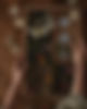 Pretty Little Fawn_03.jpeg
