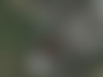 14 Home Development To Be Built Next To Main Road In Cowes