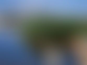 Dinosaur Isle To Close Until 2026 - As Repair Work Gets Underway