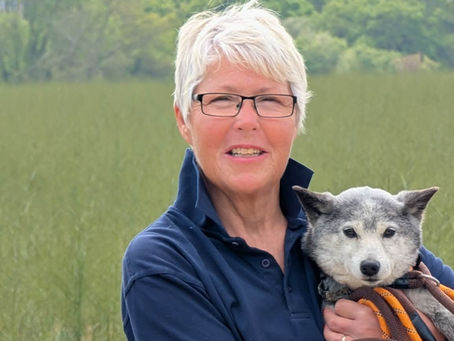 Missing Dog Located After Multi-Day Search Near Sandown