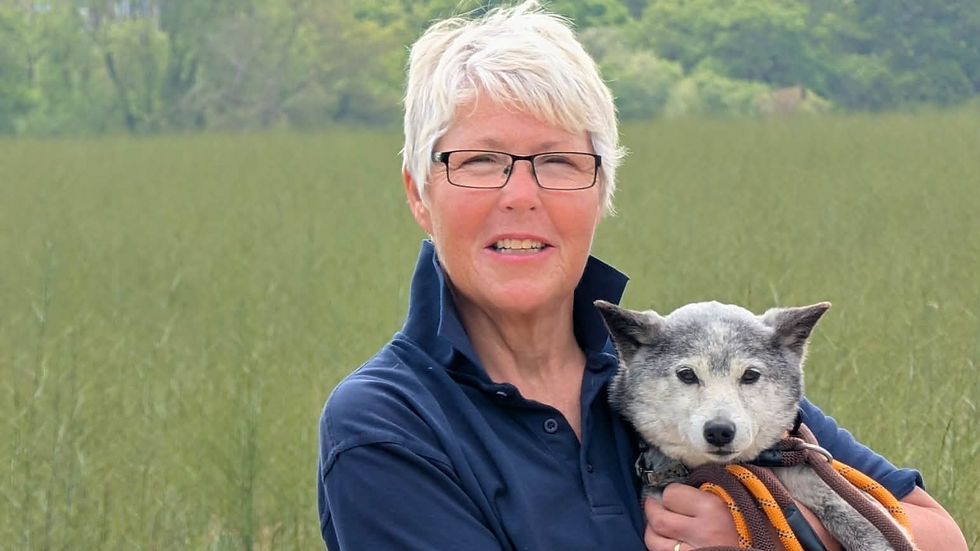 Missing Dog Located After Multi-Day Search Near Sandown