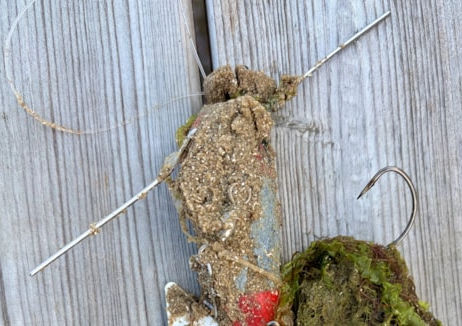 Beachgoers Urged To Dispose Of Fishing Tackle Safely