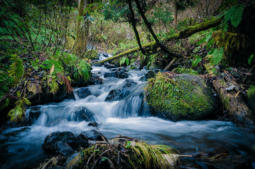 leo-rivas-5EDTkkHRCgg-unsplash.jpeg