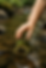 Copilot_20250709_141711.png