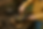 Copilot_20250709_133851.png