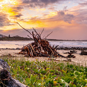 Currumbin & Hastings Point: Light, Wood, and Wonder