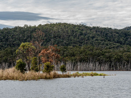 Queensland Winter Bushwalking