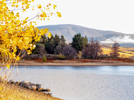 Autumn in New South Wales Alpine regions