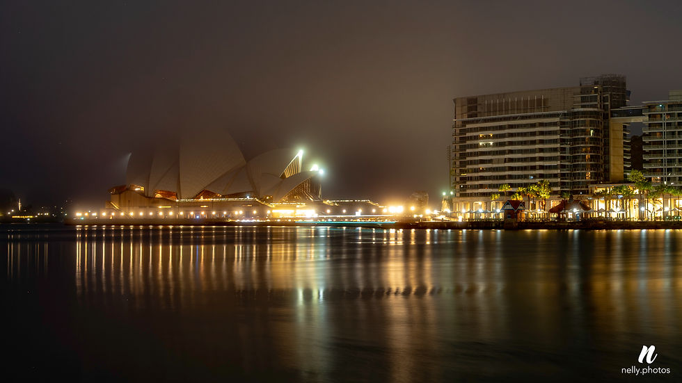Opera House from across the Quay: My first look at the harbour. The sails were barely there, lost in the fog, and the only real sign of the city was the lights along the water.