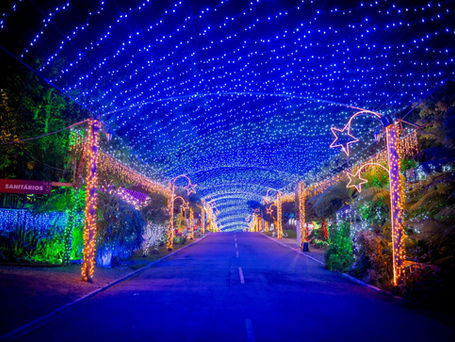 Natal em Curitiba e Réveillon nas Cataratas do Iguaçu já têm alta procura, com destaque para turismo, eventos culturais e celebrações no Paraná.
