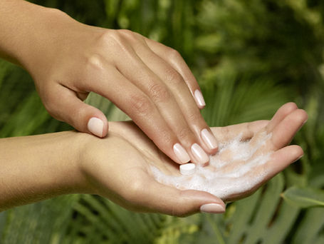 Produtos Natura Ekos Castanha sobre fundo natural com elementos da floresta amazônica