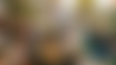 Evento Prudente Cultural transforma a Alameda Prudente de Moraes em “Rua da França” com atrações culturais franco-brasileiras.