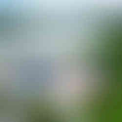 Ônibus decorado da Turma da Mônica com tema lúdico para visitação