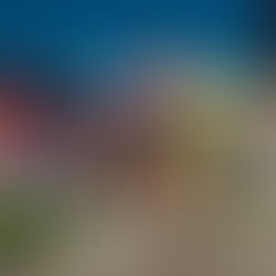 Fachada do Mustang Sally Batel em dezembro