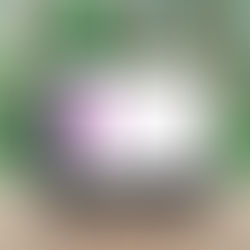 Plataforma Track moderniza a jornada digital do hóspede e aumenta vendas diretas em hotéis com tecnologia e personalização.