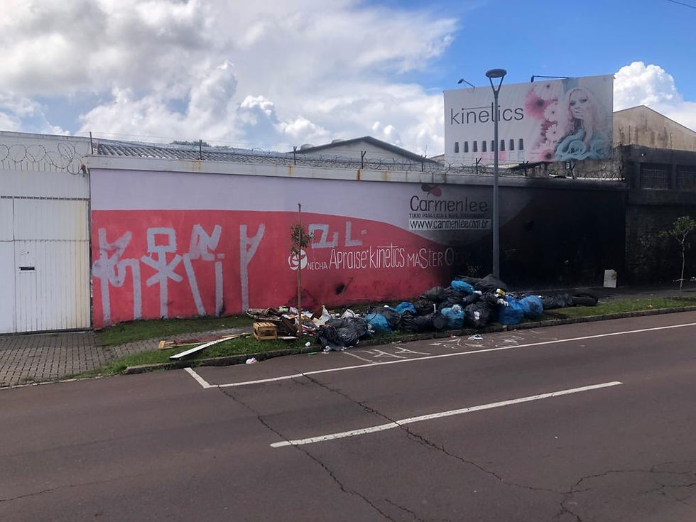 intervenção urbana no Jardim Botânico e na Vila Torres