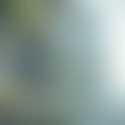 Duratex realiza evento em Curitiba sobre o futuro da arquitetura, destacando a relação entre inteligência artificial e emoção humana.