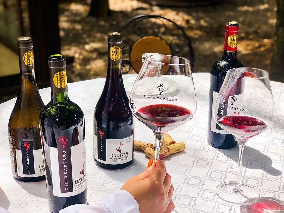 vinhos boutique brasileiros Juli Convida