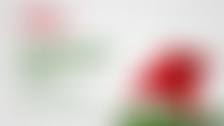 Jardim Nevado transforma o Shopping Jardim das Américas em um cenário natalino encantado com decoração, neve artificial e atrações para toda a família.