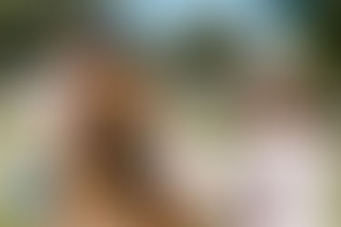 Cachorro brincando ao ar livre como resultado de cuidados preventivos de saúde