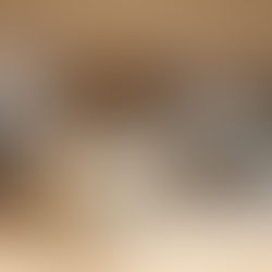 CASACOR SC | Florianópolis 2025 apresenta circuito gratuito de visitação que integra gastronomia, compras e cultura em um só evento.