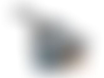 Cão olhando para comida na mesa enquanto tutor segura um prato, com expressão de dúvida entre carinho e risco