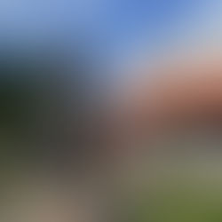 Jovens nikkei em evento de formação de lideranças e cultura japonesa em Curitiba