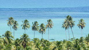 Vista panorâmica de praias paradisíacas de Alagoas ao longo de um roteiro rodoviário