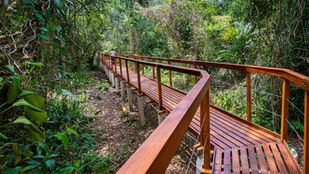 Trilha do Ararapira no Parque Nacional do Superagui