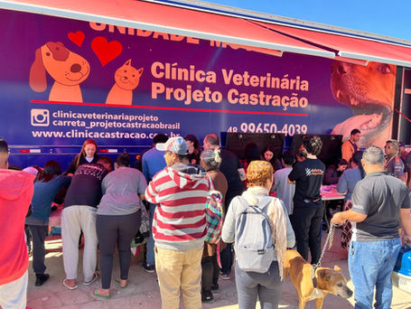 Estrutura de mutirão de castração com vários pets aguardando atendimento gratuito