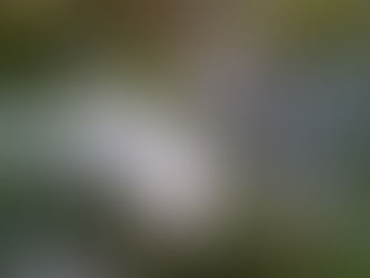 Mercopar inicia preparativos e montagem da estrutura a uma semana do evento, consolidando-se como uma das maiores feiras de inovação industrial.