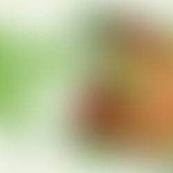 Nova Salada Mix do Méqui chega ao cardápio com ingredientes frescos e opção leve para quem busca refeições mais saudáveis.