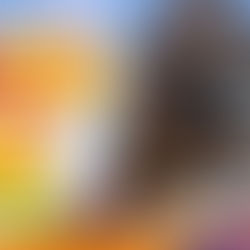 Promoção de ingressos para curitibanos no Beto Carrero